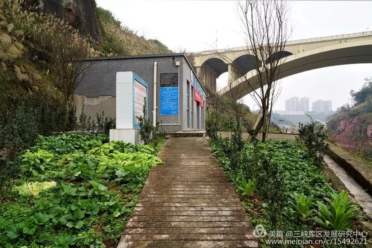 北碚复兴镇最近的视频,重庆市北碚龙门桥