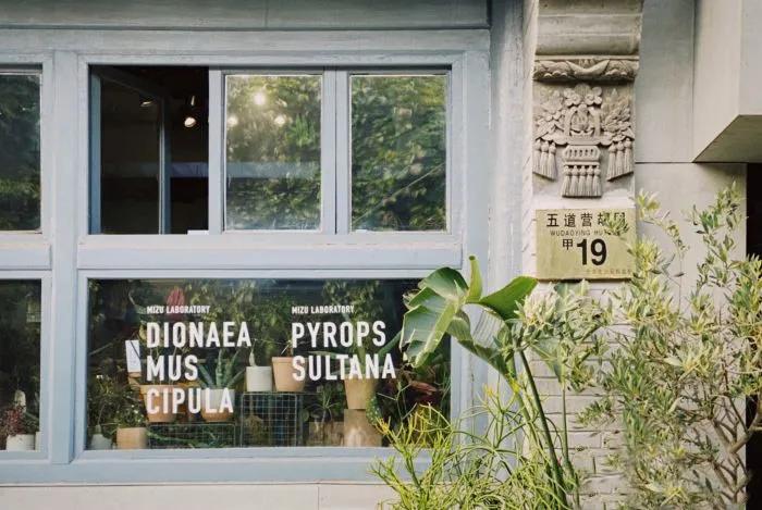 开在胡同里的花店,这家藏在北京老胡同里的花店