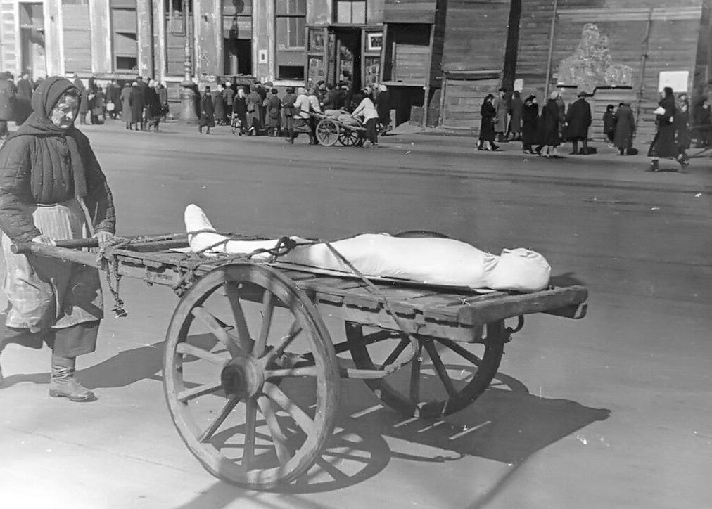 列宁格勒保卫战德军失败原因,列宁格勒保卫战是二战转折点