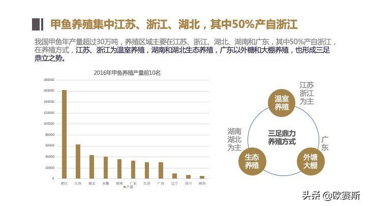 欧赛斯带你全方位洞察甲鱼市场发展趋势及竞争格局