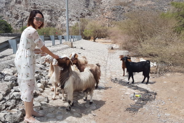 中东土豪在中国游玩,中东土豪游玩