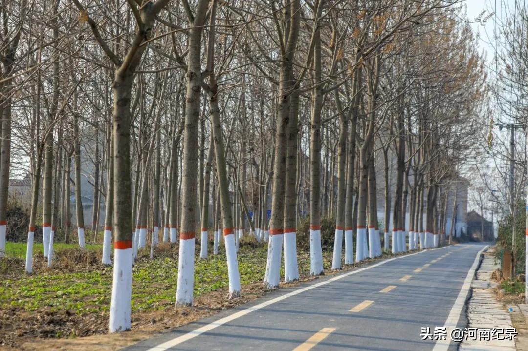 120个美丽乡村柘城入选,河南柘城县最美乡村