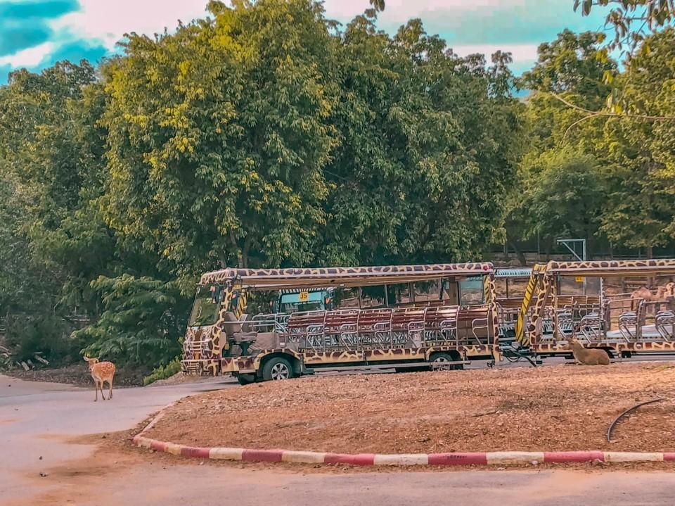 泰国清迈旅游攻略自由行,泰国旅游清迈必去的地方