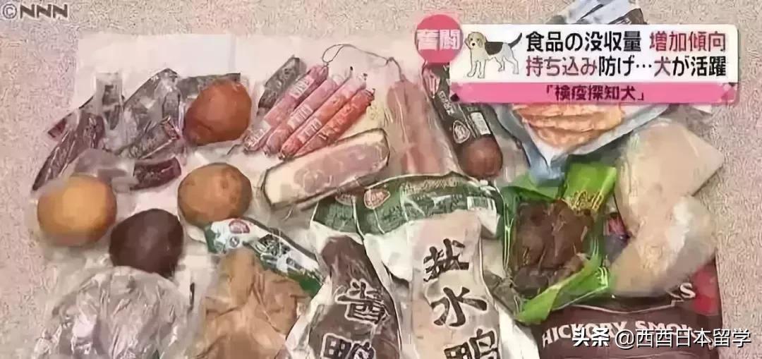 留学生带感冒药判几年,留学生带感冒药犯法吗