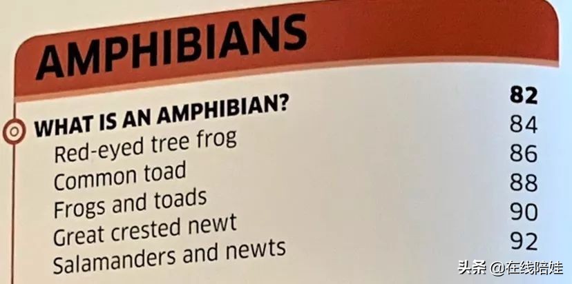 dk知识大百科全套,dk知识大百科书金银版