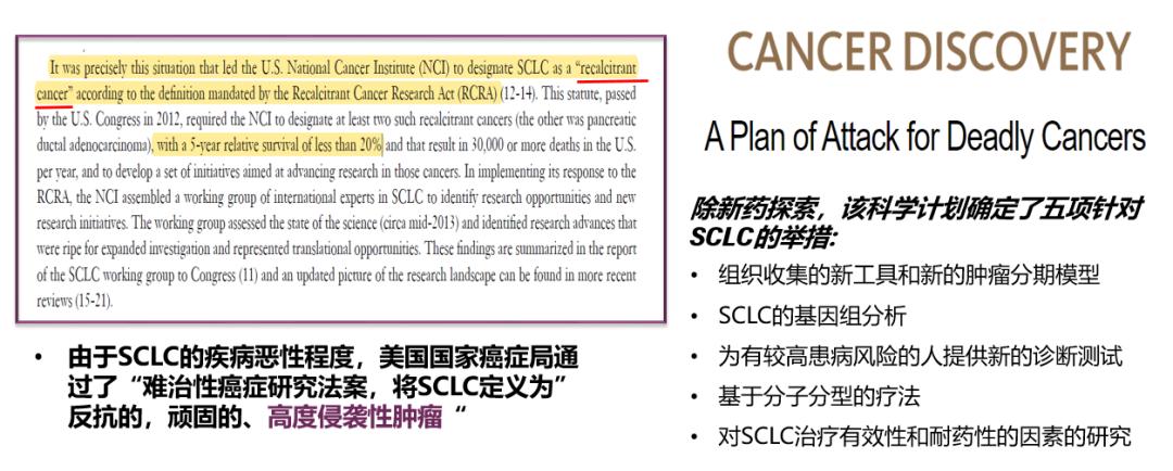 小细胞肺癌2021指南,肺癌小细胞肺癌整个治疗过程