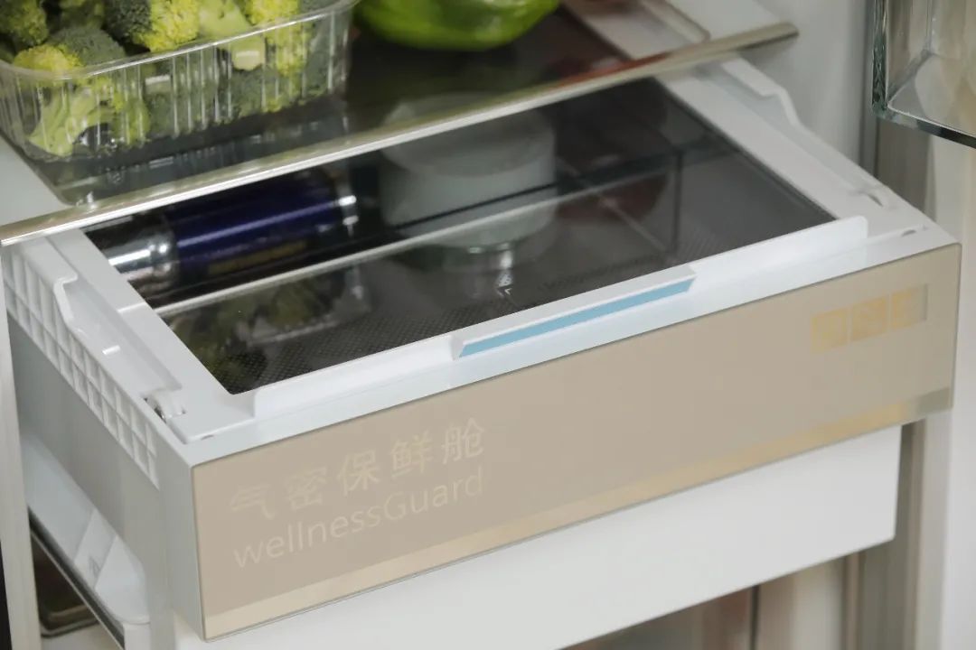 会有品位的人家里都有什么东西,别人的家都装成了什么样子