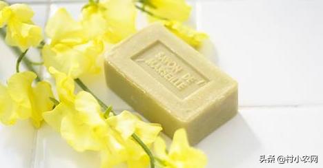 杨梅酸甜可口，但把杨梅汁弄到衣服上怎么办？这6种方法你用过吗?