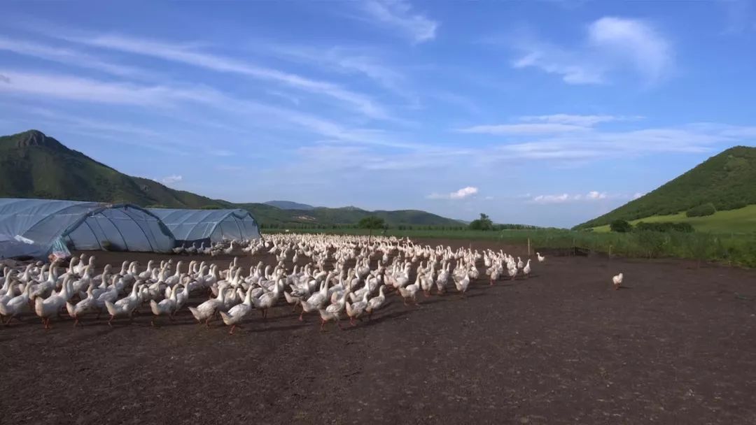 提高产品的附加值有哪些措施,提升产品价值增加附加值