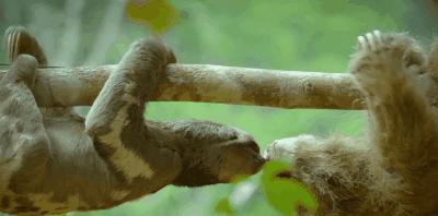 豆瓣9.8分悬疑大片,窥探电视剧豆瓣评分