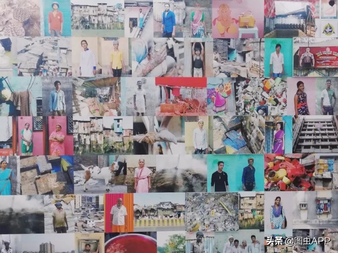 图虫opensealab摄影,图虫看动物世界系列