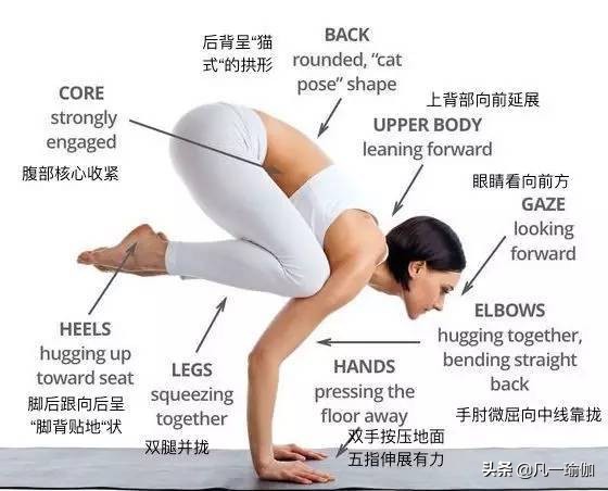 瑜伽练习的基本原则,瑜伽之光讲的什么