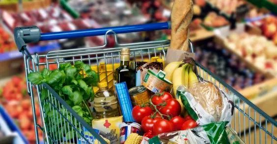 儿童画思维教程,蔬菜购物车儿童画