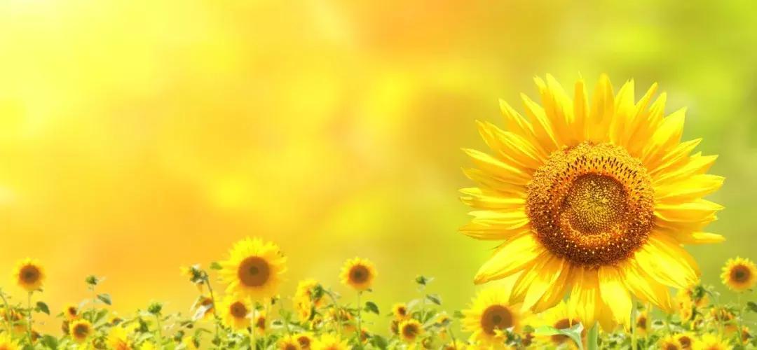 泪目支教老师千字长文,支教老师离开感人视频哭成泪人