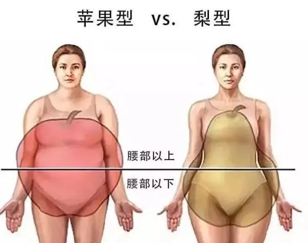 怎样区分肚子大是因为肉还是孩子,肚子大肉肉多怎么减少