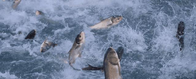 长沙最适合冬季去吃的招牌美味,冬天适合吃的美食长沙