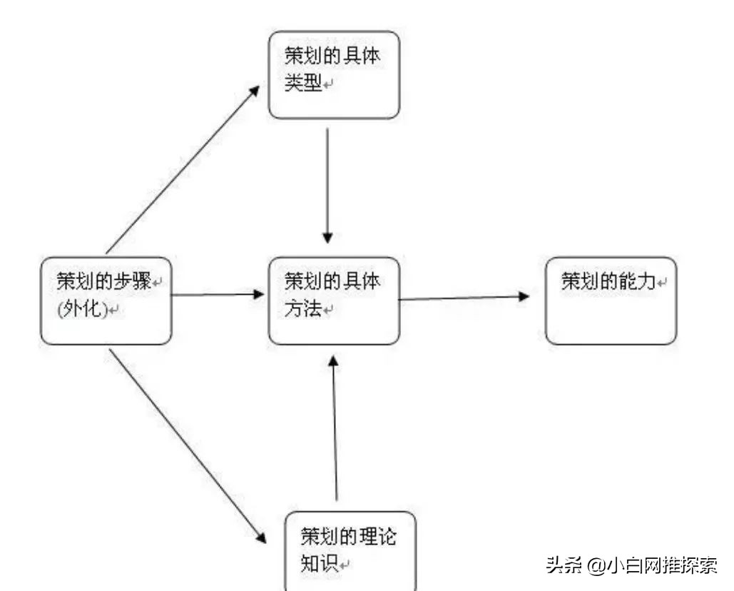 宠物店如何做线上活动推广,线上推广业务怎么弄