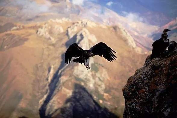 儒释道三教经典名句,儒释道经典语录有哪些呢