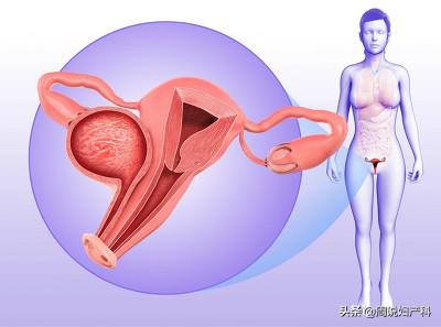 月经没来小肚子胀恶心怎么回事,月经不来小肚子不舒服吃点啥药