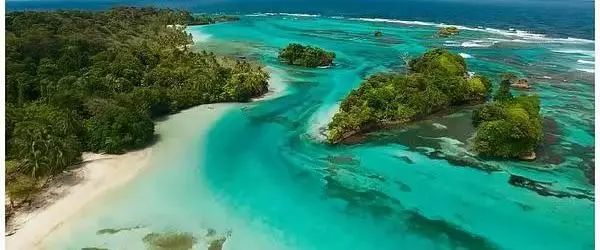 孩子暑期必看的50部神级纪录片,适合孩子和家长一起看的纪录片