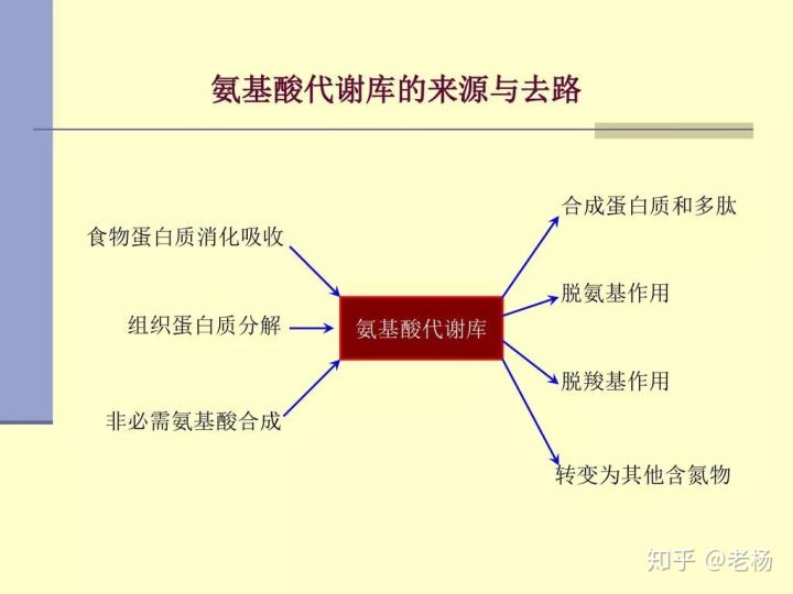 健身吃纯蛋粉可以么,健身要吃很多鸡蛋清
