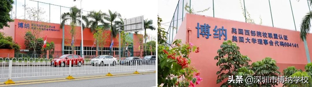 深圳南山这所宝藏国际学校，带你去打卡