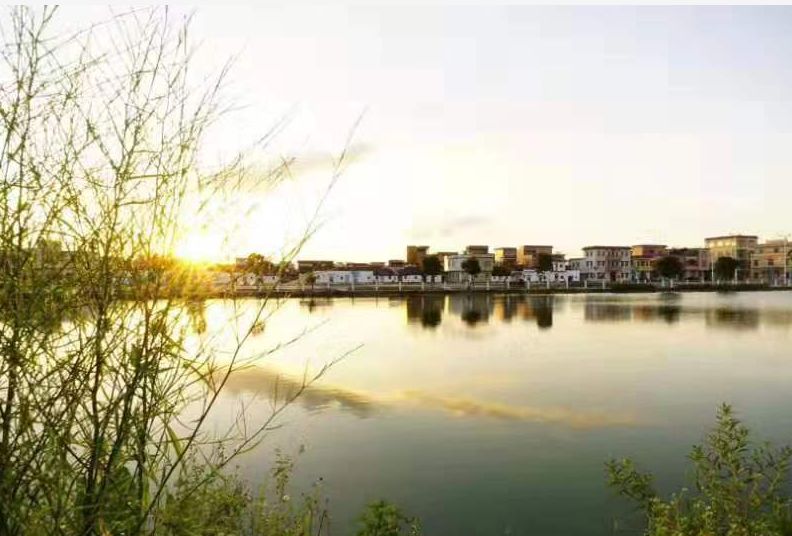 恩平市城镇最新规划项目,恩平森林小镇