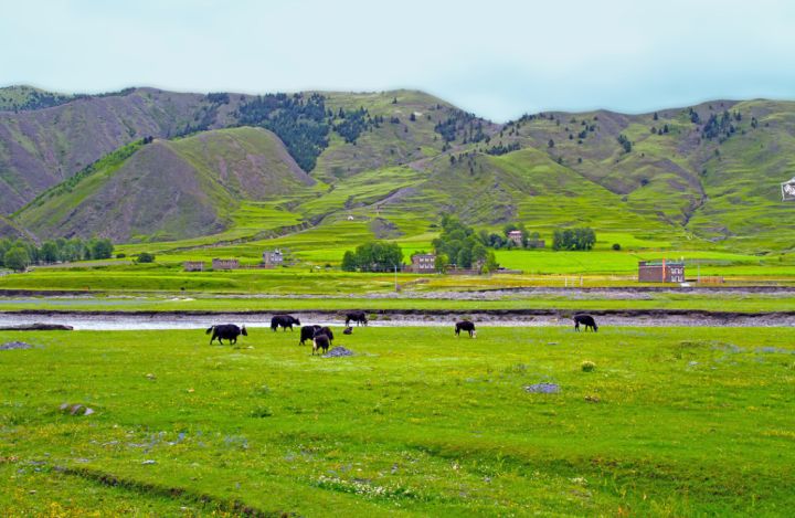 西藏和西北旅游攻略,来藏旅游攻略必看
