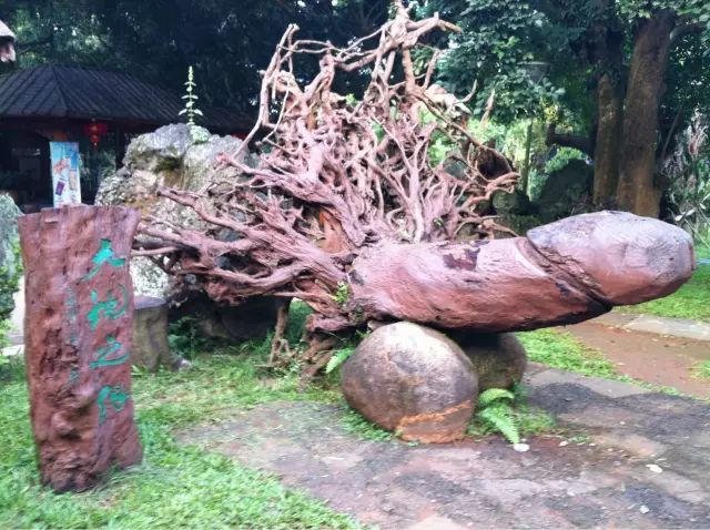 海口秀英生活攻略,海口秀英港地图