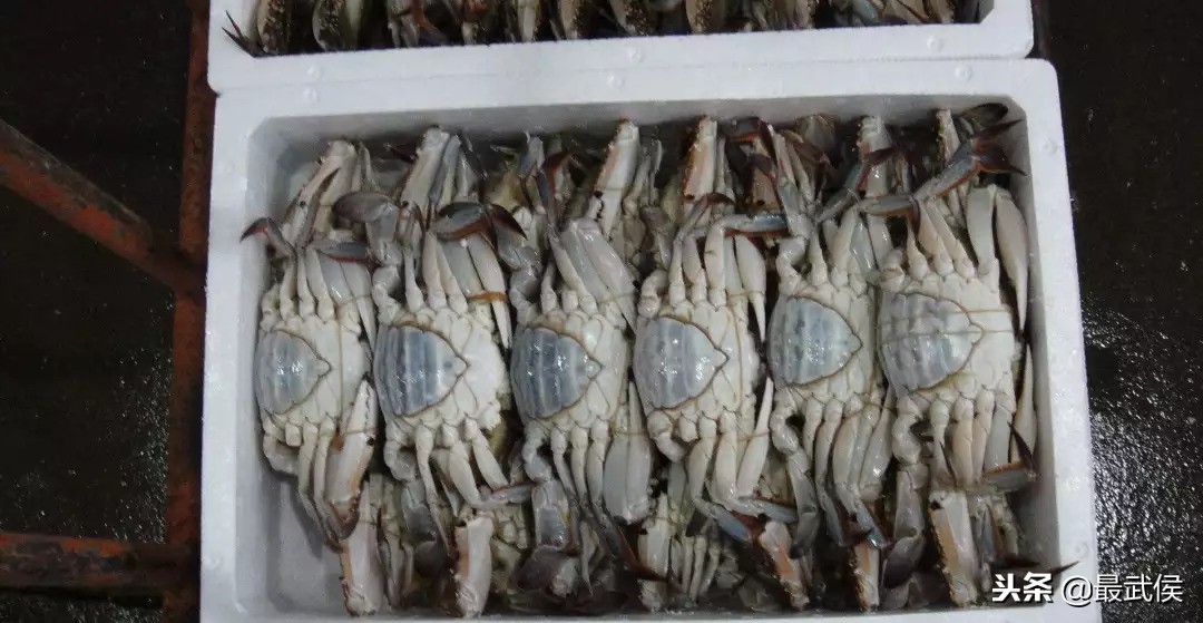 成都日化批发市场在哪便宜,成都批发市场哪里最大最便宜