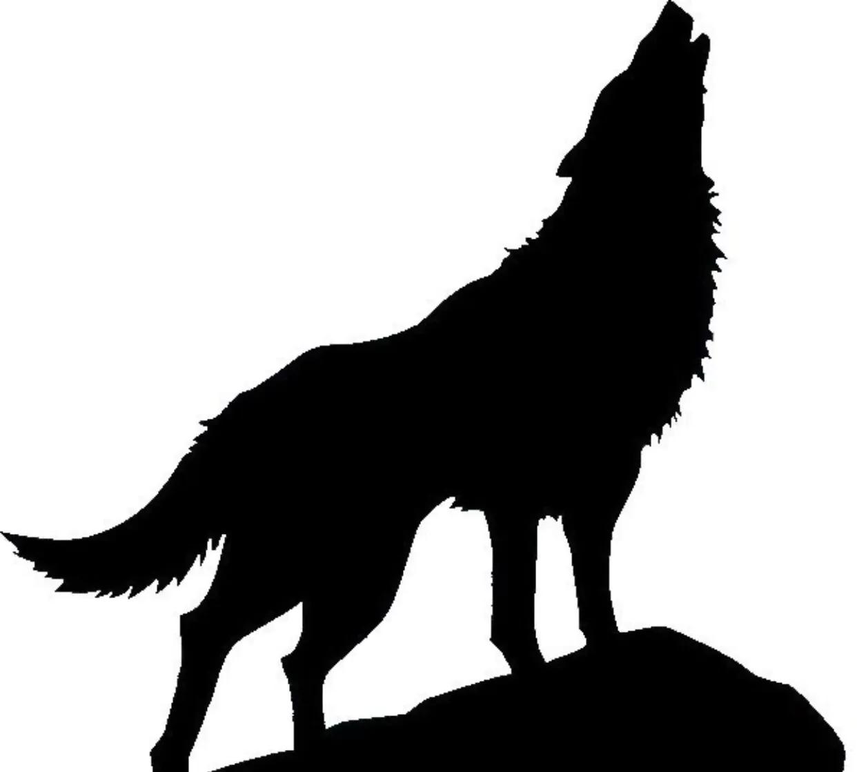 每日学一句小古文,每日一句零基础学习文言文