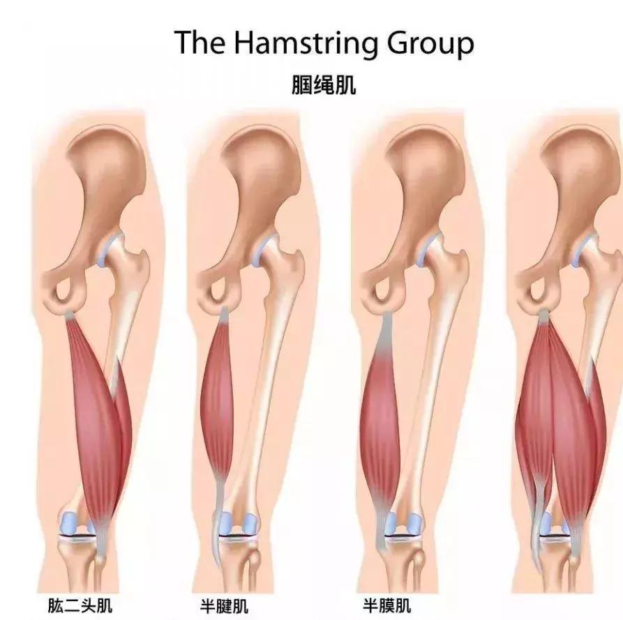 足球常见伤,足球中常见的运动损伤处理