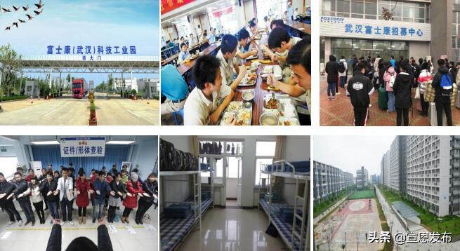 湖北垄上频道今日节目表,湖北垄上行招聘