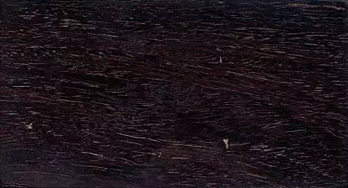 木头全部小说,木头免费观看