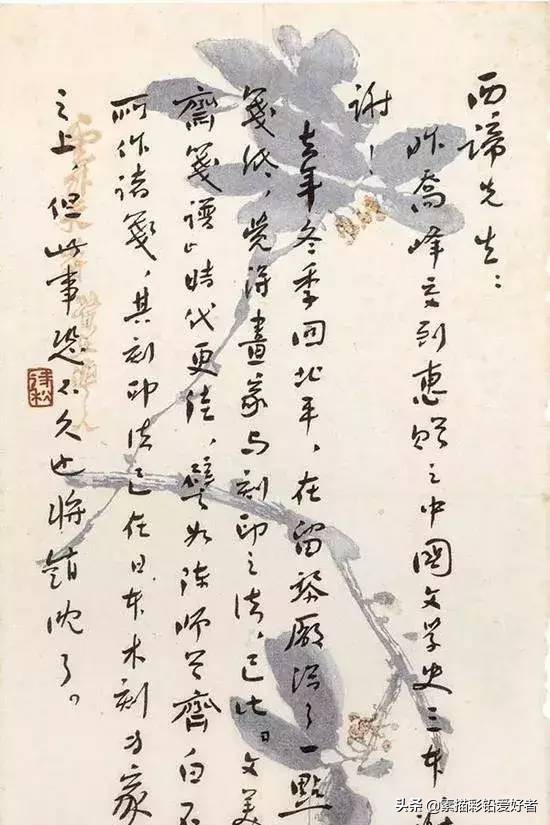 写给鲁迅的先生的一封信,高级的信