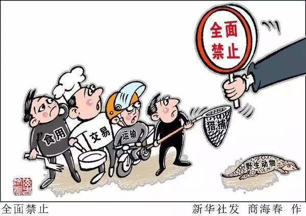 抓蛙捕鸟被判刑,抓青蛙检察院怎么处理