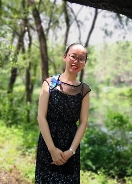 美丽迎春花开了,迎春花盛开的绝美春日盛景