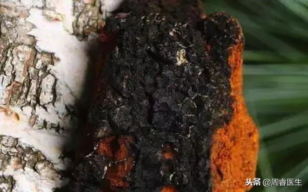 吃什么菌能逆转糖尿病,食用菌治疗糖尿病