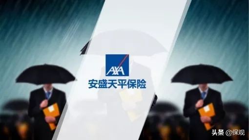 全球最大的保险公司是哪一家,全球九家大到不能倒的保险公司