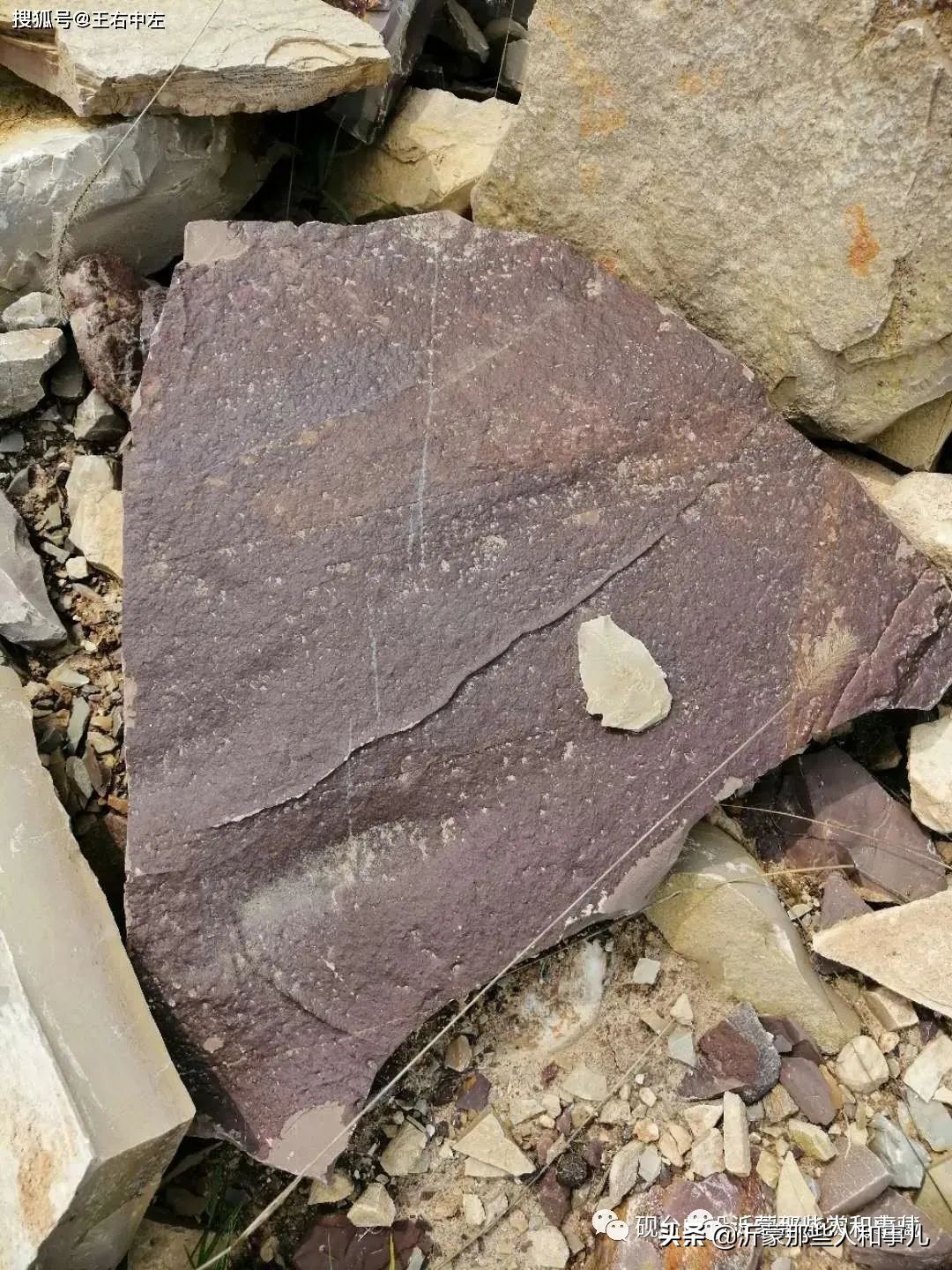 为什么紫金砚珍贵,米芾的紫金砚是怎么来的