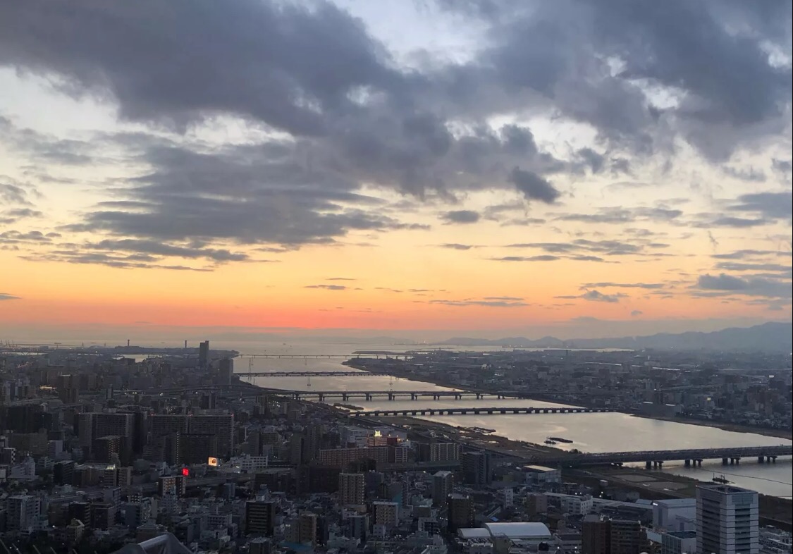 妯辫姳涔嬫梾澶ч槳,鏃ユ湰妯辫姳涔嬫梾