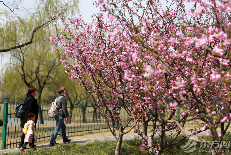 冬日暖阳黄兴公园的美景,公园黄兴公园