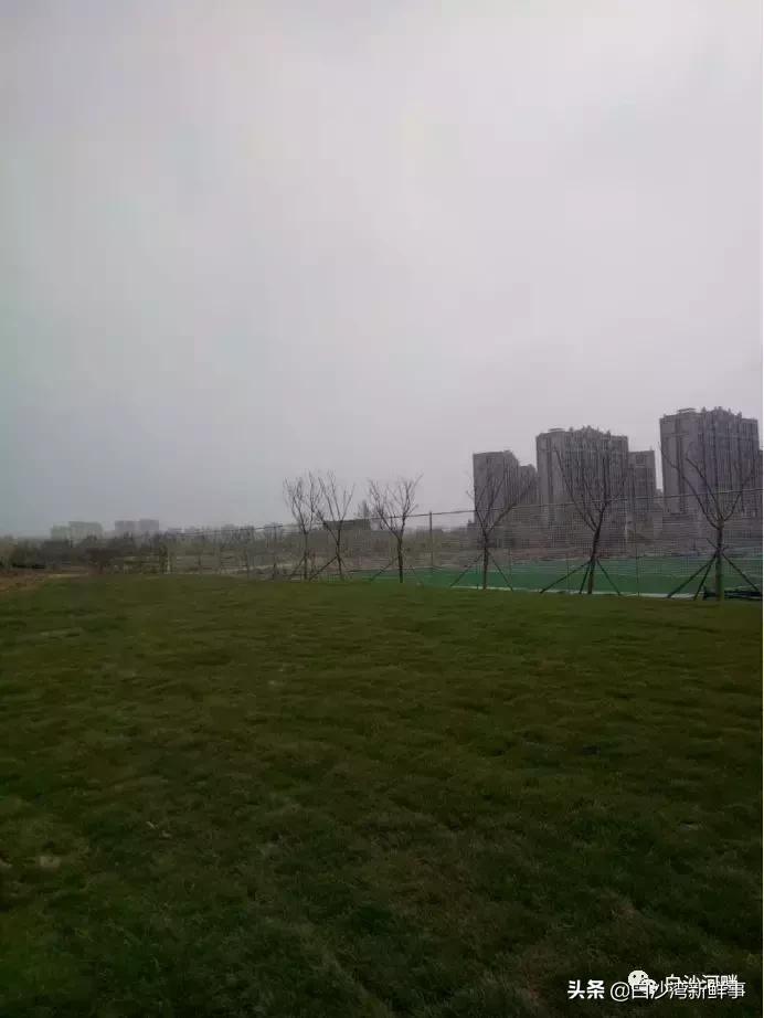 城阳白沙湾足球基地,白沙湾足球基地效果图