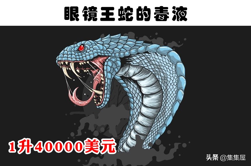 十种最贵的液体,世界上最值钱的十种液体