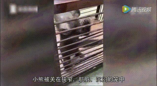 被囚34年取精，被迫亲手杀死爱子，最后只能挣扎着死去…