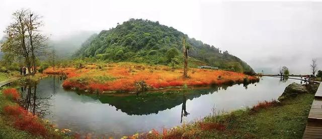 红了！黑竹沟迎颜值巅峰快去穿越五彩童话世界