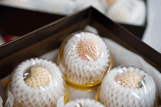 一下子吃了30颗草莓,吃了半斤草莓