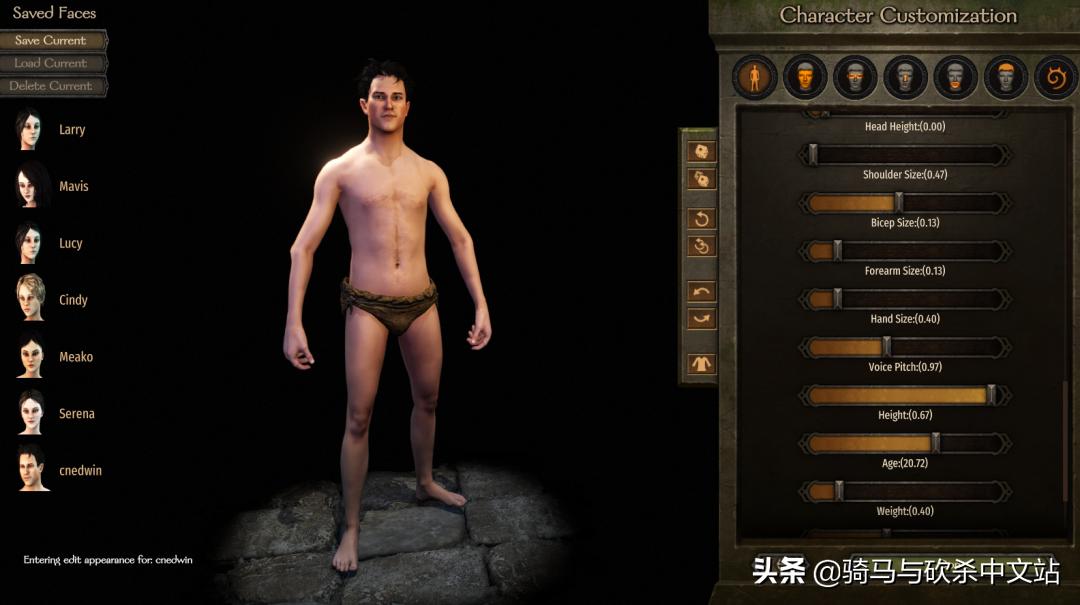 骑砍2值得玩的mod推荐,骑砍二最适合中国玩家玩的mod