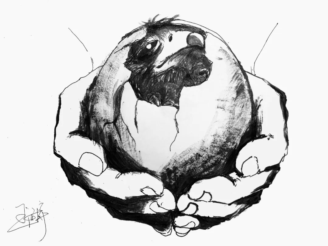 人民空军生日快乐祝福,人民空军生日快乐