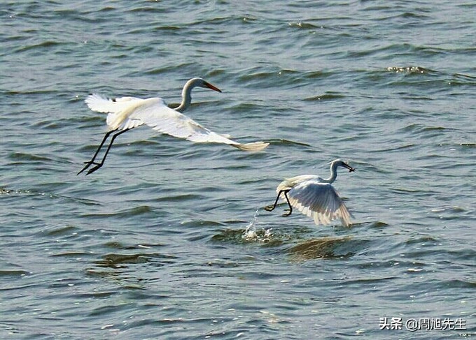 盛京3天深度自驾游好去处推荐,盛京游记